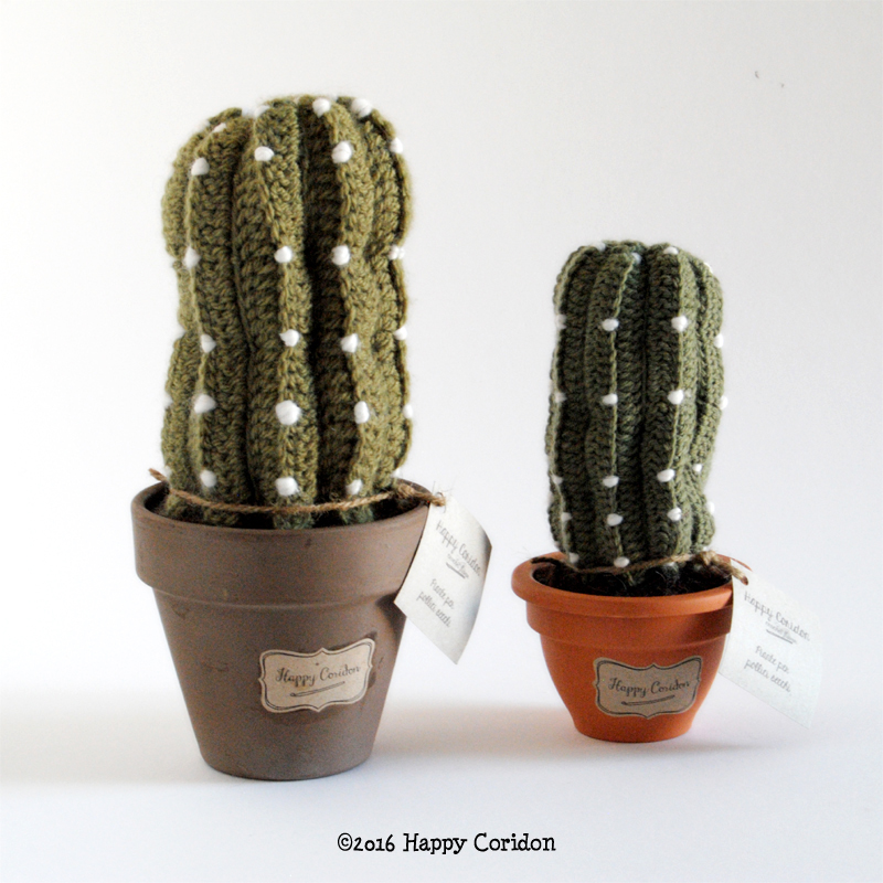 cactus-senape02