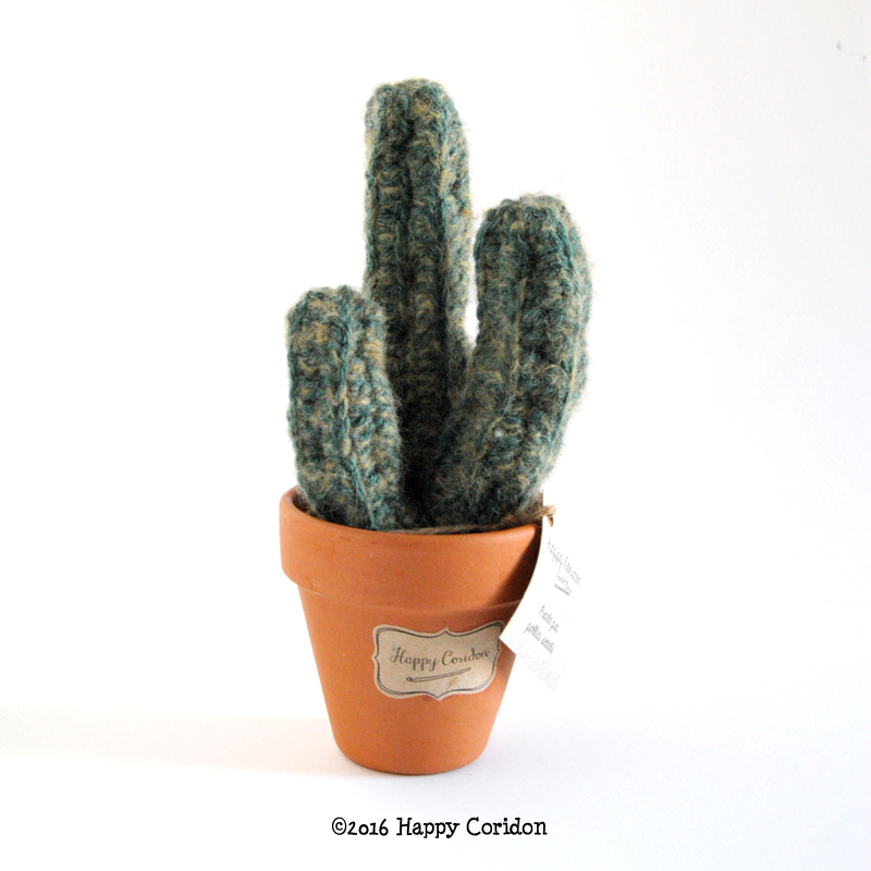 cactus-senape08