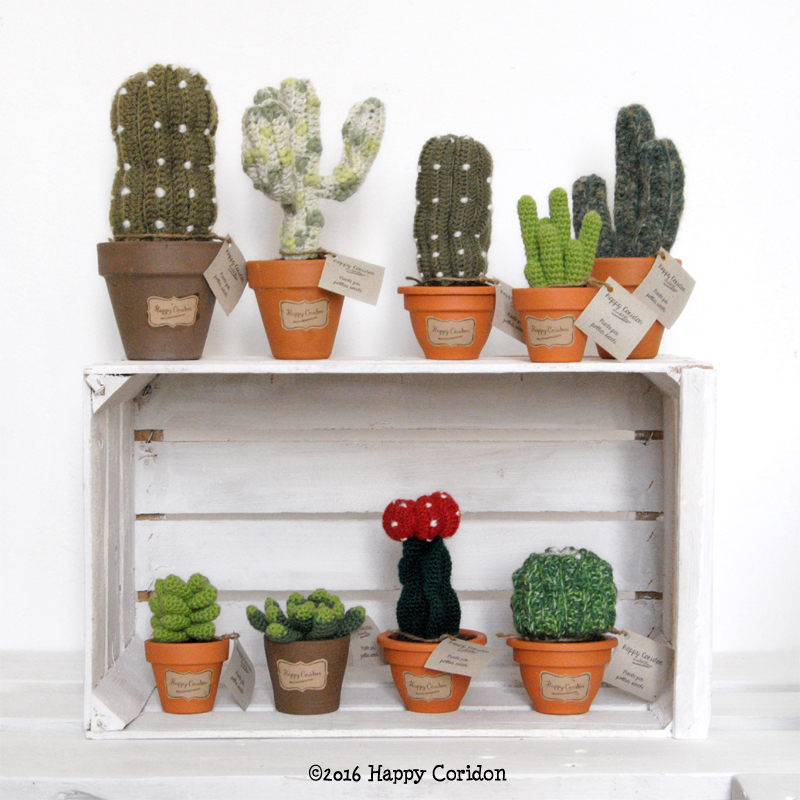 cactus-senape10